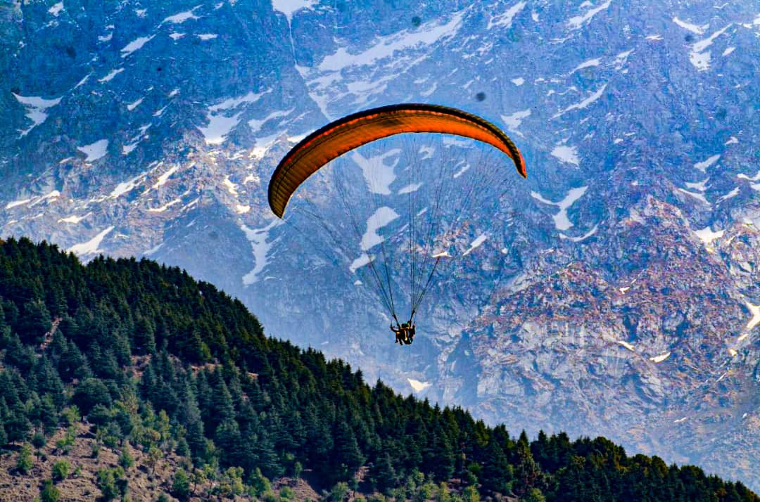 Paragliding in Dharamshala Image